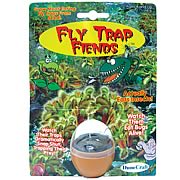 Fly Trap Fiends Terrarium Kit